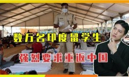 国外疫情最新爆料印度,最新爆料揭示严峻形势