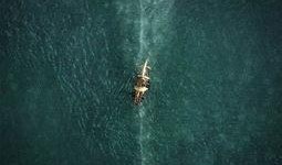 海洋深处在线观看,跟随海洋深处在线之旅